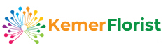 Kemer Florist