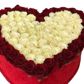  Kemer Flowers Order 101 Red and White Roses in Heart Box