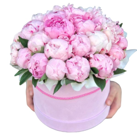  Kemer Flowers Order 29 Adet Pembe Pion Pembe Kutuda