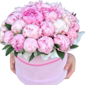  Kemer Flowers Order 29 Adet Pembe Pion Pembe Kutuda