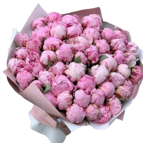  Kemer Florist 51 Adet Pembe Pion Buket