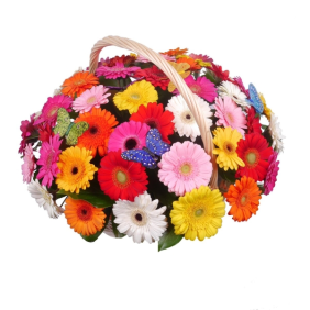 Kemer Flowers 51 Adet Renkli Gerbera Sepette