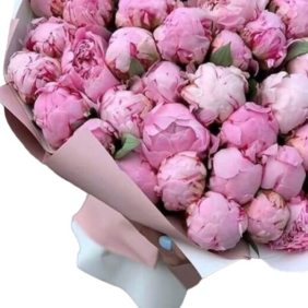  Kemer Florist 51 Adet Pembe Pion Buket