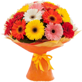  Kemer Flowers Delivery 15 Adet Renkli Gerbera Buket