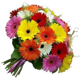  Kemer Flowers Delivery 21 Adet Renkli Gerbera Buket